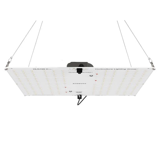 best grow lights